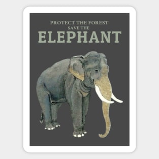 Save the Elephants Protect out beautiful wildlife Magnet